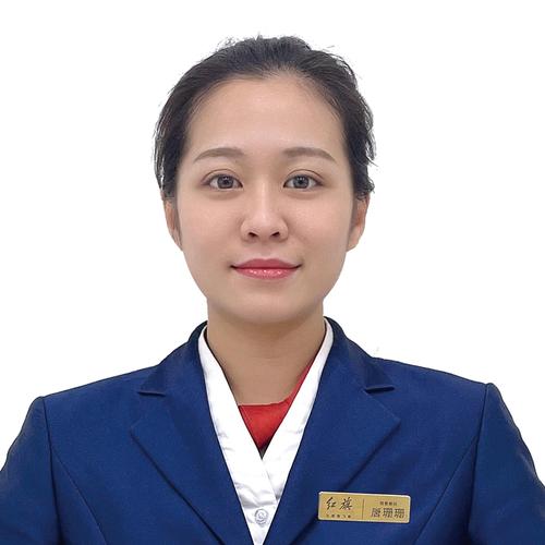长沙seo顾问