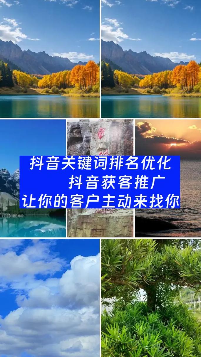 岳阳seo优化标题
