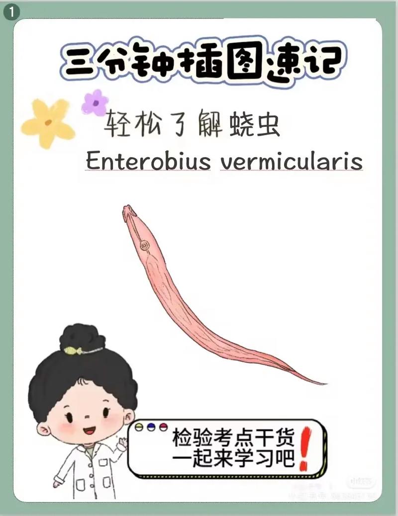 seo寄生虫