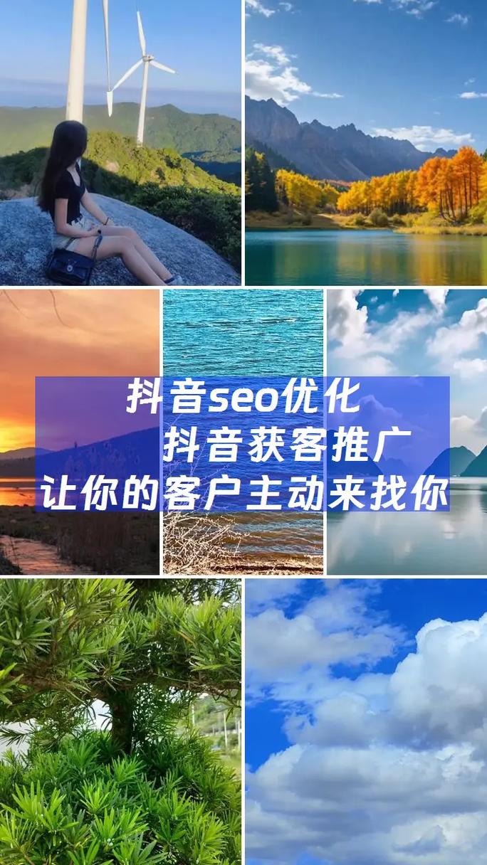 周口抖音seo案例研究