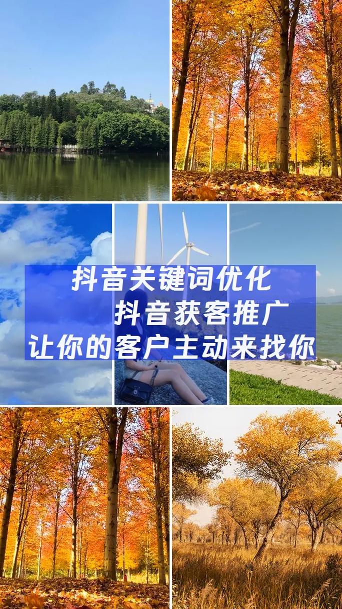 漯河实力seo推荐公司