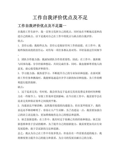 seo工作表现自评