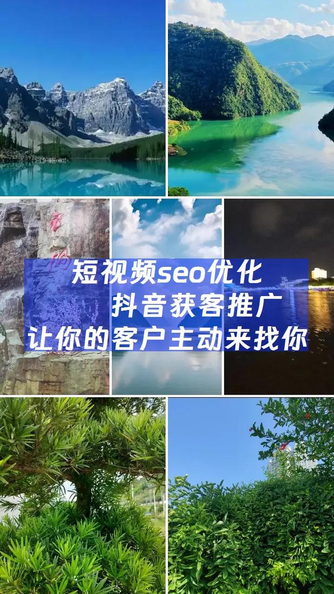 陕西抖音seo案例
