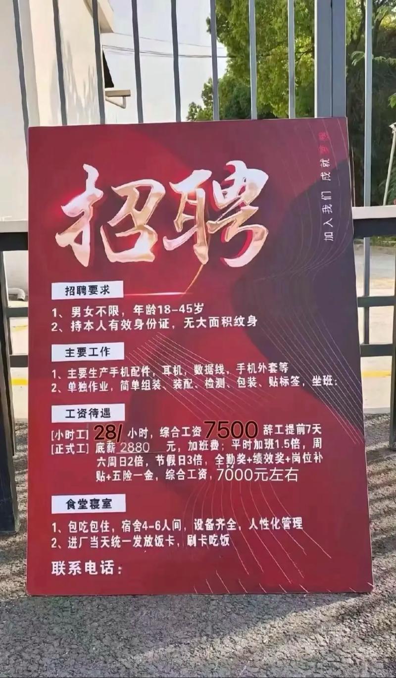 东莞seo招聘