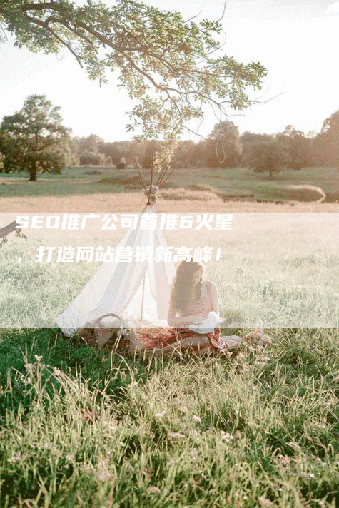 seo推广选择28火星软件