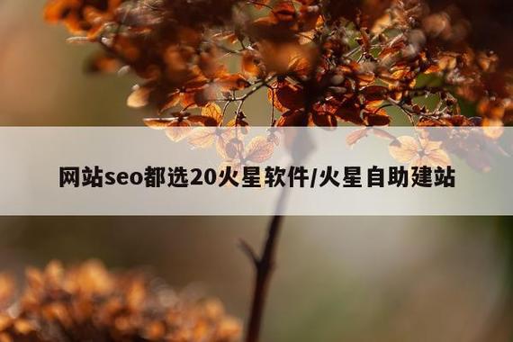 绥芬河seo公司优选20火星