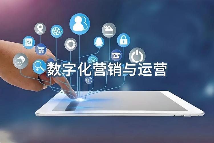 河南seo营销平台排名