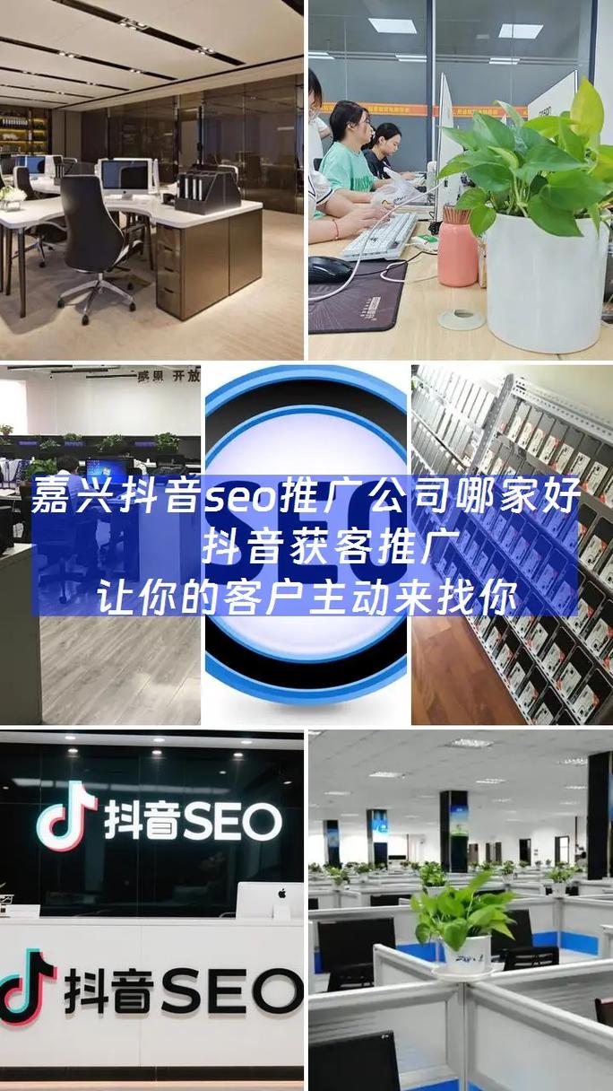 嘉兴抖音seo加盟