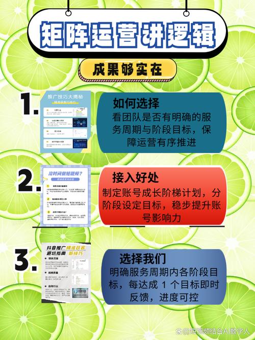 河北seo推广如何营销